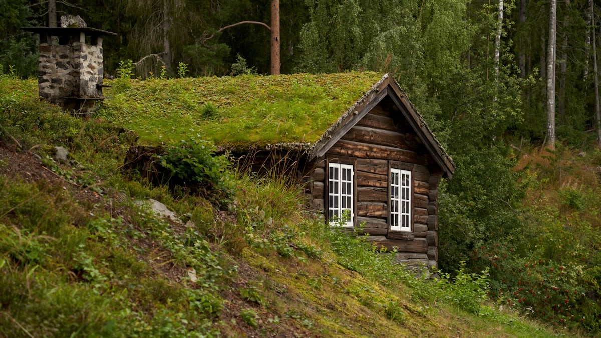 Very Old Simple Log House with a Grass-Covered Roof at Maihaugen Open-Air Museum in Lillehammer: A Glimpse into Traditional Norwegian Architecture and Rural Life